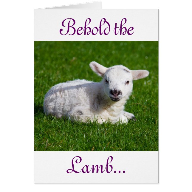 Osterleben: Lamm-Urlaubskarte (Vorne)