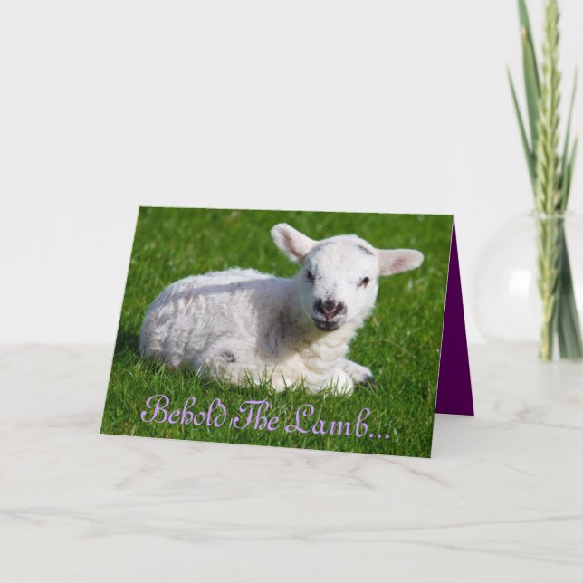 Osterleben: Lamm-Urlaubskarte Feiertagskarte (Vorderseite)