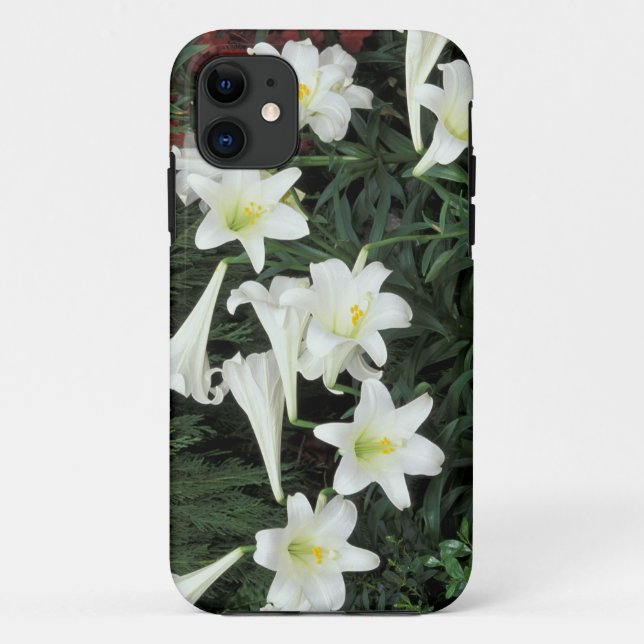 Osterlilie (Lilium regale) Case-Mate iPhone Hülle (Rückseite)