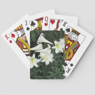 Osterlilie (Lilium regale) Spielkarten