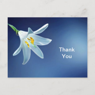 Osterlilien-Dankeschön-Postkarte Postkarte