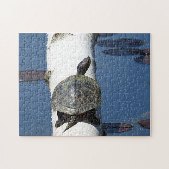 Ostermalte Schildkröte auf Birke (Horizontal)