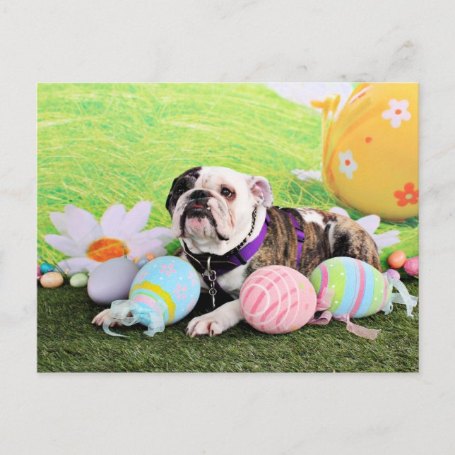 Ostern - Bulldog - Delilah Feiertagspostkarte (Vorderseite)