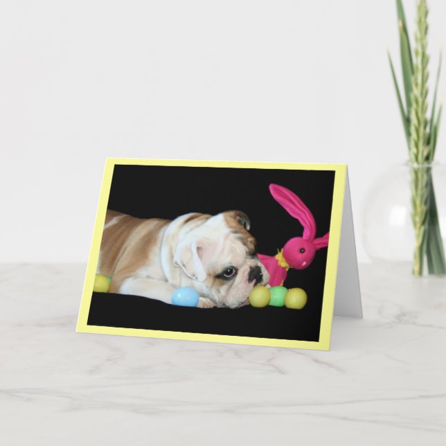 Ostern-Bulldoggengrußkarte Feiertagskarte (Vorderseite)