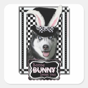 Ostern - einige sonnige Lieben Sie - Husky Quadratischer Aufkleber