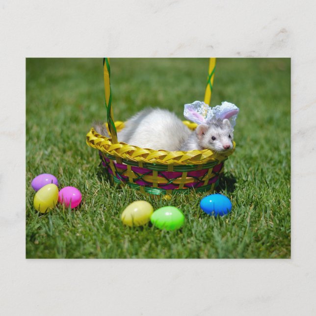 Ostern-Frettchen-Postkarte Feiertagspostkarte (Vorderseite)