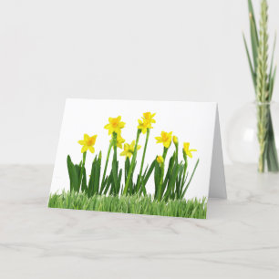 Ostern-Gruß-Karte Feiertagskarte