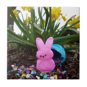 Ostern-Hase-Friede-Liebe-Kunst-Schicksal personali Fliese