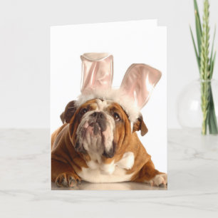 Ostern-Hundegruß-Karte Feiertagskarte
