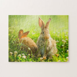 Ostern-Kaninchen