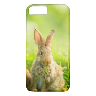 Ostern-Kaninchen Case-Mate iPhone Hülle
