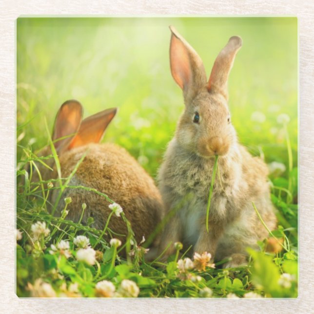 Ostern-Kaninchen Glasuntersetzer (Vorderseite)