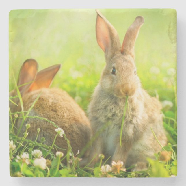 Ostern-Kaninchen Steinuntersetzer (Vorderseite)