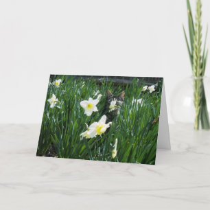 OSTERN-KÄTZCHEN IN DEN BLUMEN FEIERTAGSKARTE