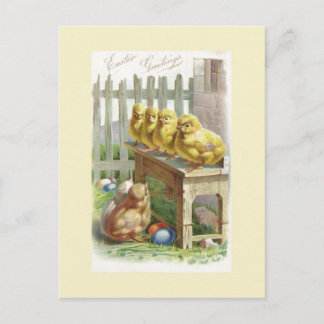 Ostern - Küken, Eier & Bank - Antike Postkarte