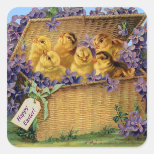 Ostern-Küken in einem Korb Quadratischer Aufkleber