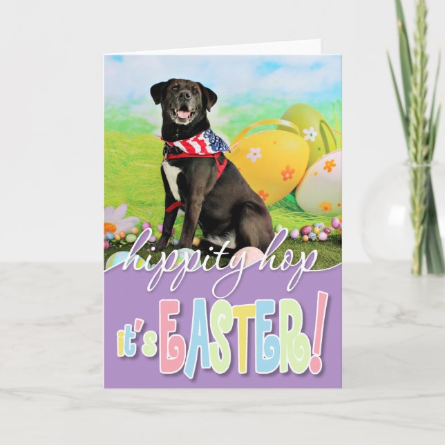 Ostern - Labrador - Dakota Feiertagskarte (Vorderseite)
