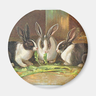 Ostern Magnet