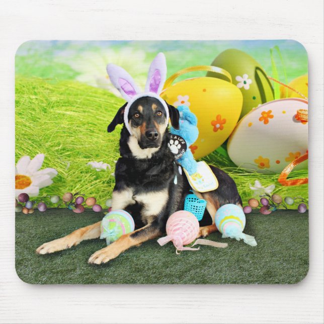 Ostern - Mischzucht - Jake Mousepad (Vorne)