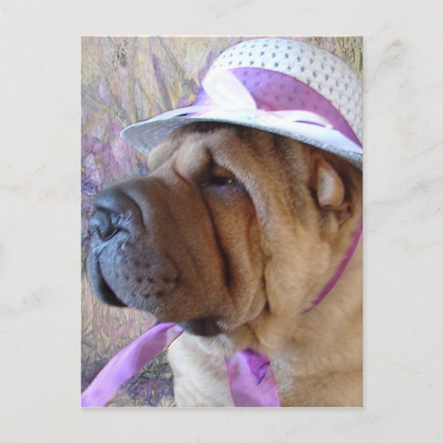 Ostern-Mütze Feiertagspostkarte (Vorderseite)