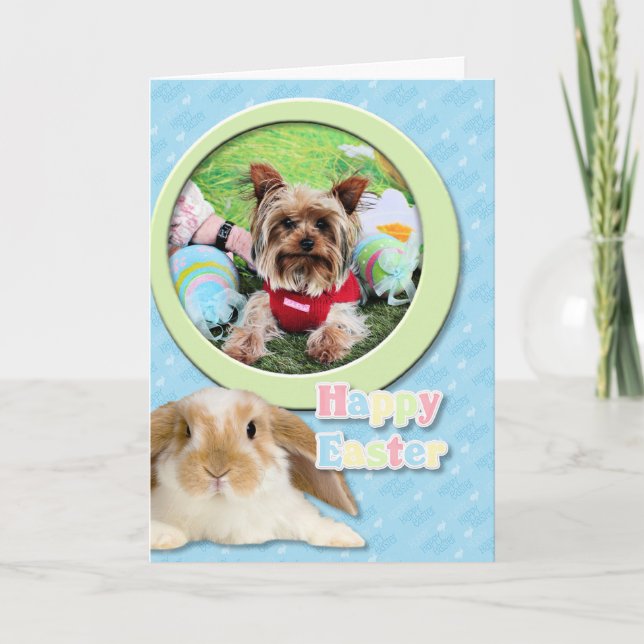 Ostern - Yorkshire Terrier - frech Feiertagskarte (Vorderseite)