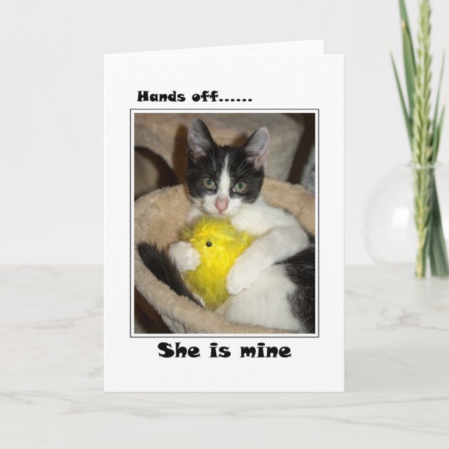 Osternkatze und -küken feiertagskarte (Vorderseite)