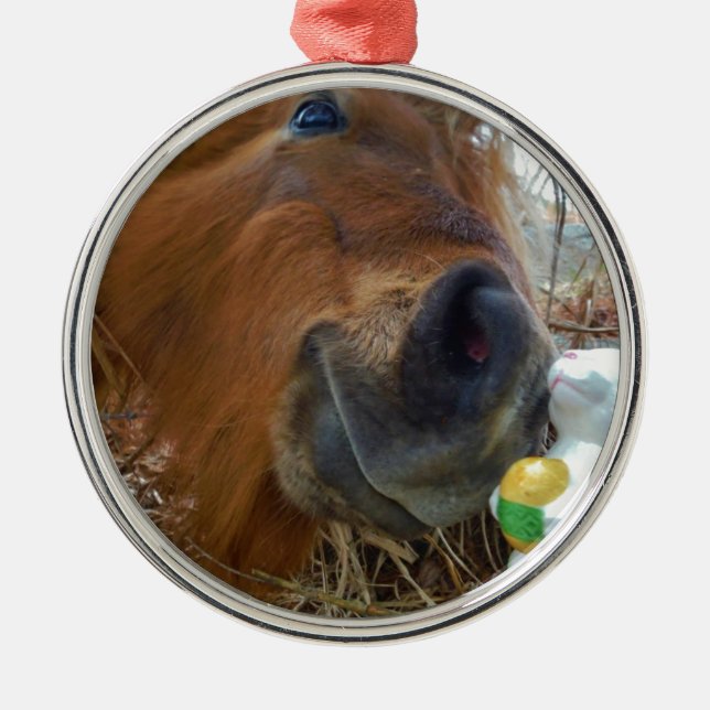 Osterpferd Silbernes Ornament (Vorne)