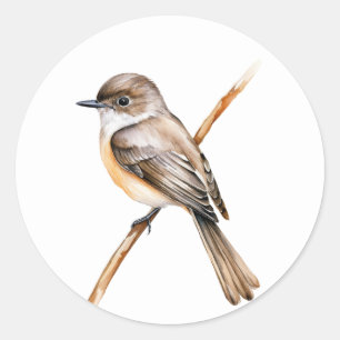 OsterPhoebe Runder Aufkleber