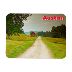 Österreich Holzhütte und Weg Magnet