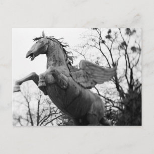 Österreich, Salzburg. Pferdestatue, Postkarte