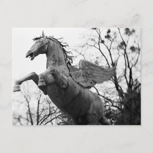 Österreich, Salzburg. Pferdestatue, Postkarte (Vorderseite)