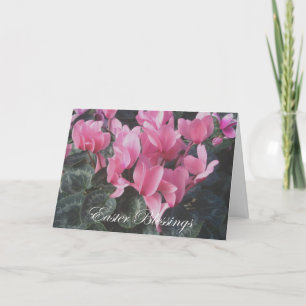 Osterrosa Cyclamen-Karte Feiertagskarte