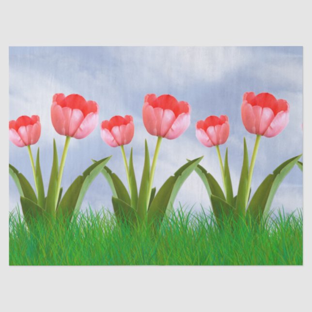 Osterrosa Tulips Blumenfotografie & Blue Sky Seidenpapier (Vorderseite)