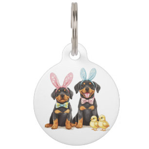 Osterrottweiler Hunde Sonnige Ohren Haustiermarke