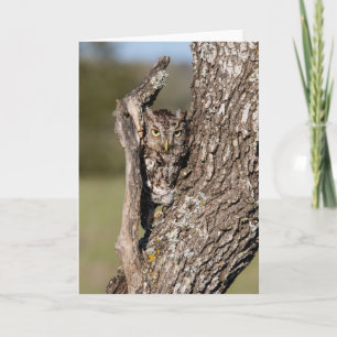 Osterschnecke Karte