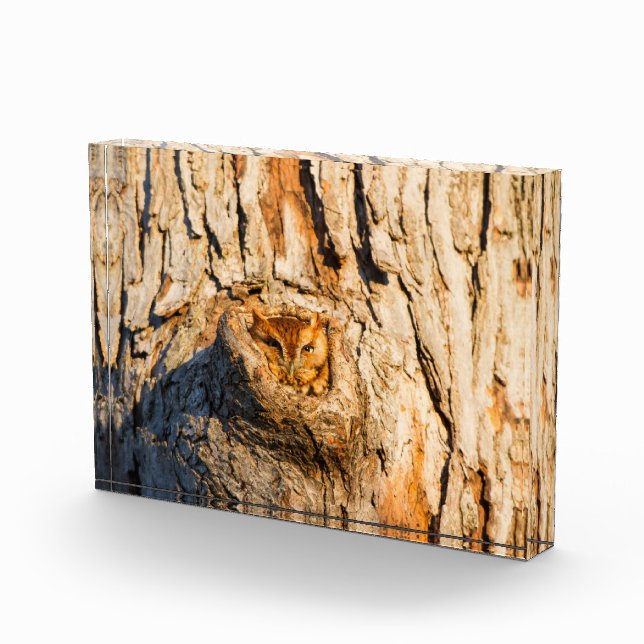 Osterschrei Fotoblock (Rechts)