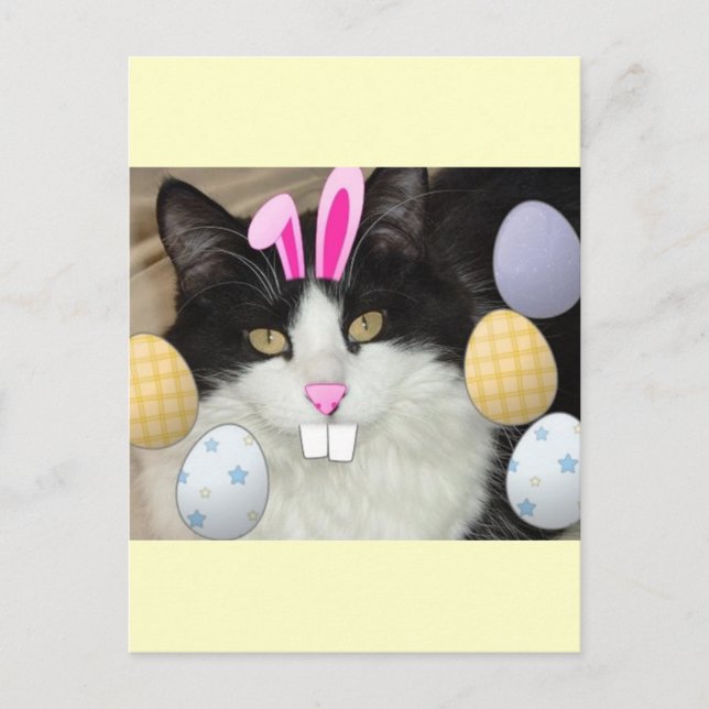 Osterschwarz-weiße Katze Feiertagspostkarte (Vorderseite)