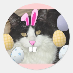 Osterschwarz-weiße Katze Runder Aufkleber