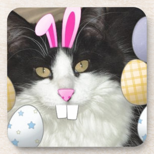 Osterschwarz-weiße Katze Untersetzer