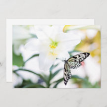 Ostersegmente 1 John 2:25 Bibelverse