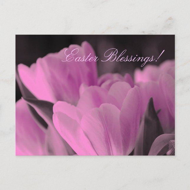 Ostersegnung Feiertagspostkarte (Vorderseite)