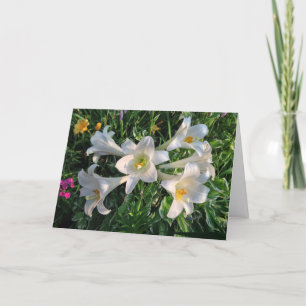 Ostersegnung Lily-Blume Feiertagskarte