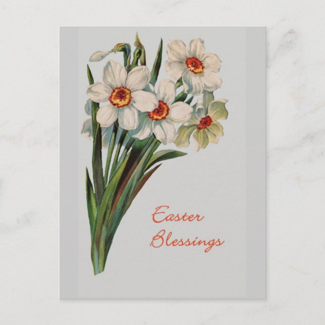 Ostersegnung Postkarte (Vorderseite)