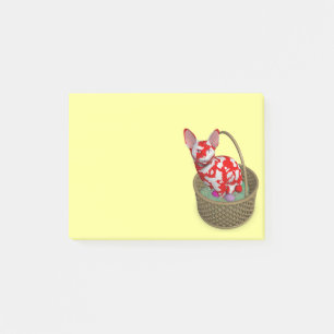 Ostersonnenkatze Post-it Klebezettel