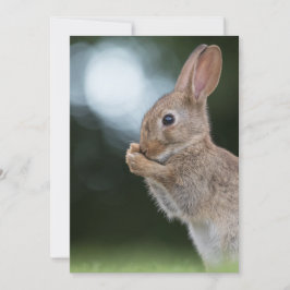 Ostersonnige Fotokarte Save The Date