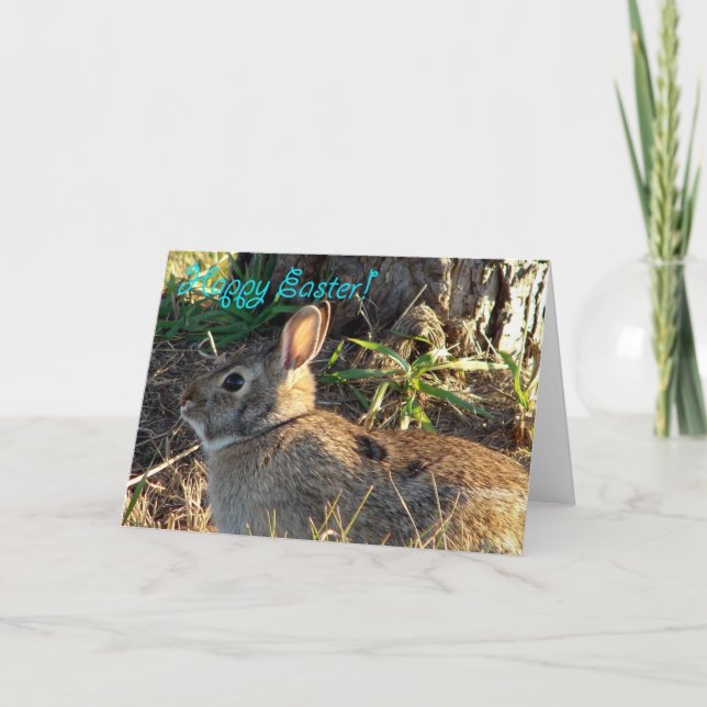 Osterwild-Kaninchen Feiertagskarte (Vorderseite)