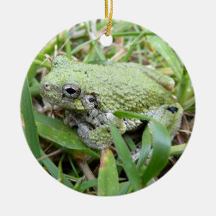 Ostgraue Treefrog Naturfotografie Keramik Ornament