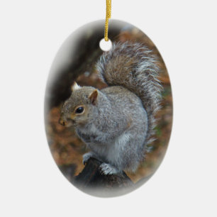 Ostgrauem Eichhörnchen - Sciurus carolinensis Keramik Ornament