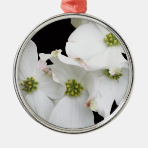 Osthartriegel-Blüten - Kornelkirsche Florida Ornament Aus Metall
