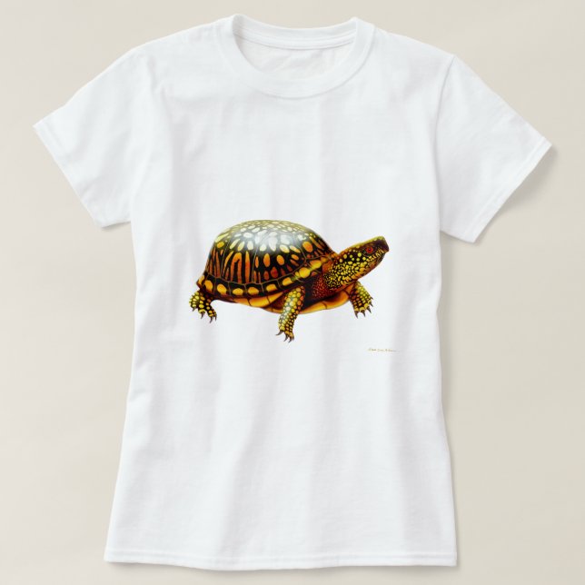 Ostkasten-Schildkröte-Damenbabydoll-Shirt T-Shirt (Design vorne)